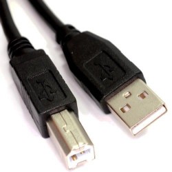 Câble USB 2.0 type A vers B Lindy 3m. Idéal imprimante, scanner et périphériques USB. Connexion fiable, longueur 3 mètres.