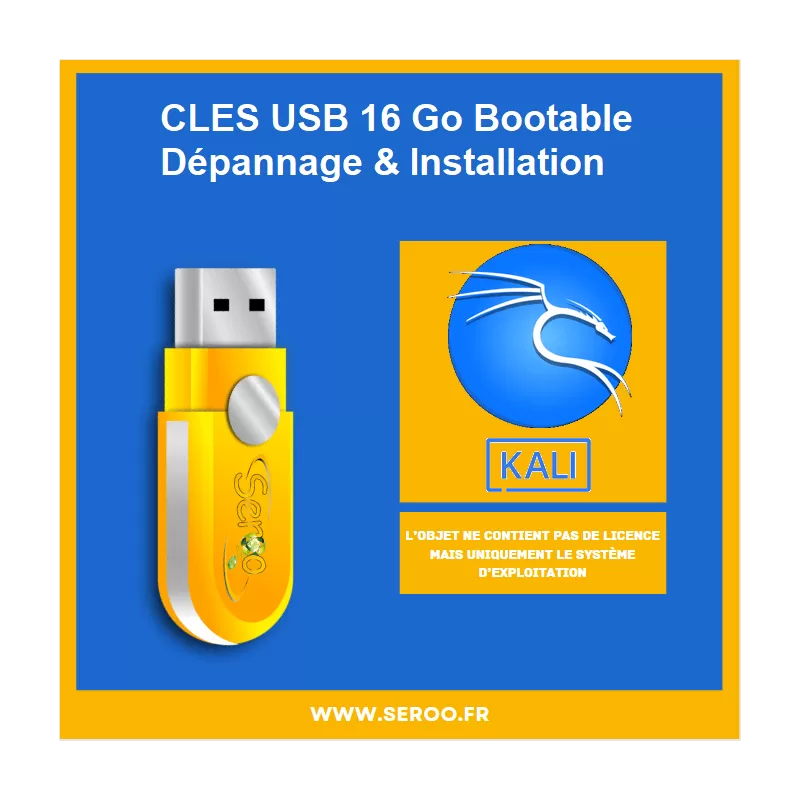 Clé USB de dépannage et installation KALI